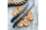 Набор кухонных ножей из литого булата №2 (микарта)