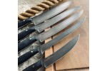 Набор кухонных ножей из булата №5 (микарта)
